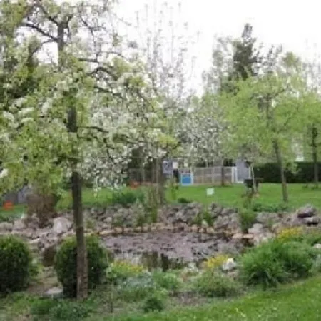 Komfortables Mit Eigener Sauna Ferienhaus Gunzenhausen