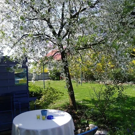 Komfortables Mit Eigener Sauna Holiday home Gunzenhausen